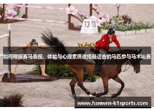 如何根据赛马表现、体能与心理素质选择最适合的马匹参与马术比赛